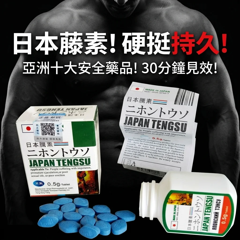 持久力提升方案對比